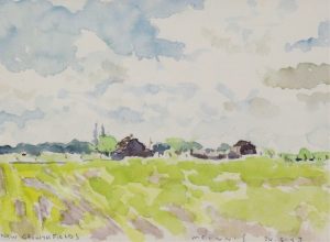 Robert F. M. McInnis: NEW GROWTH FIELDS