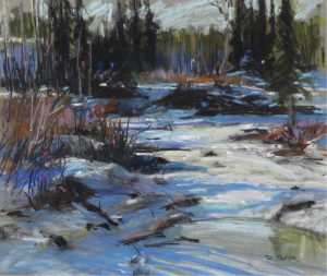 Doug Palmer: JANUARY, UPPER TRAP CREEK