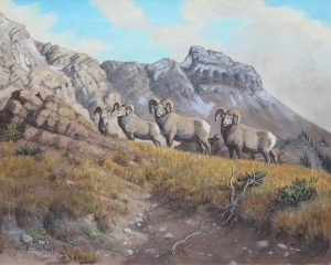 Elmer Schock: MOUNTAIN RAMS