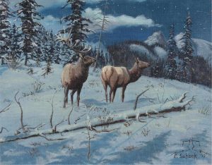 Elmer Schock: ELK AT NIGHT