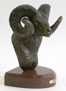 Rick Taylor: CADOMIN RAM