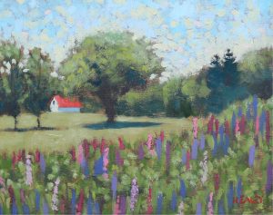 Paul Healey: LUPINS, NEW BRUNSWICK