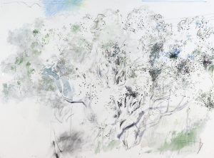 Dirk Van Wyk: SUMMER GARDEN
