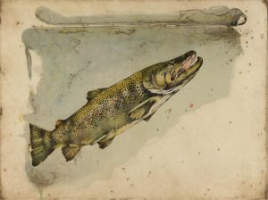 Jack Lee Cowin: RISING BROWN