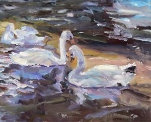 Fred Cameron: RELAXING SWANS