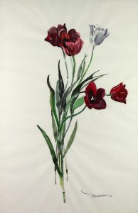 Janet B. (Holly) Middleton: TULIPS