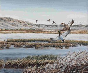 Wee Lee: NICOLLE FLATS, CHANGING SEASON, MALLARDS