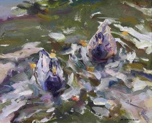 Fred Cameron: DUCKS, REIFEL REFUGE