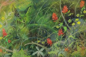 Annora Brown: DEER AND WILD FLOWERS