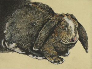 Jack Lee Cowin: RABBIT II