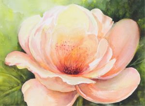 Irene Wahl: TREE PEONY