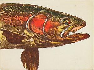 Jack Lee Cowin: SPAWNING RAINBOW