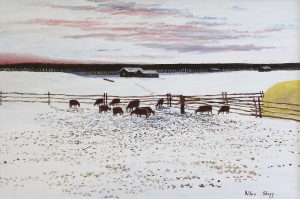 Allen Sapp: ALEC NICOTINE IS LOOKING AFTER MY GRANDFATHER’S COW IN RED PHEASENT (sic)