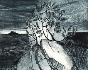 David Lloyd Blackwood: TOWARDS THE OPEN