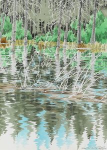 Ted Godwin: BROOK TROUT COUNTRY