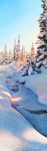 Richard Mravik: WINTER SOLITUDE II