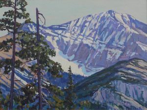 William (Bill) Duma: ABOVE THE TREES