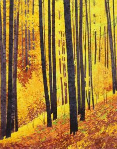 Keith Thomson: COLOURS AT BRAGG CREEK