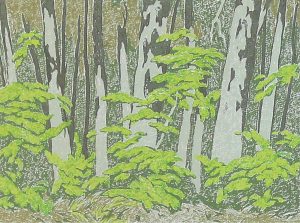 Alfred Joseph Casson: FOREST EDGE