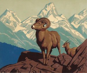 Alfred Joseph Casson: BIGHORN SHEEP