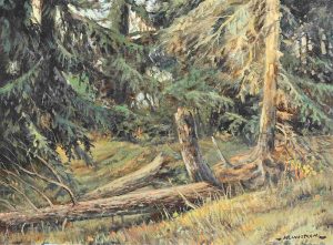 Matt Lindstrom: FOREST INTERIOR