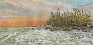 Robert (Bob) Checkwitch: WAVES ON A ROCKY COAST