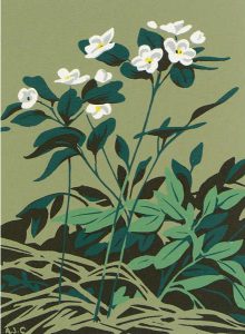 Alfred Joseph Casson: FIVE CHRISTMAS CARDS, FLORAL MOTIF