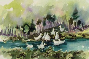 Janet Mitchell: AWKWARD SQUAD OF DUCKS