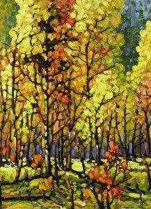 Rod Charlesworth: THE COLOURS OF SUNLIGHT