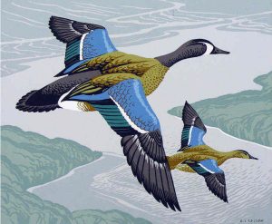 Alfred Joseph Casson: UNTITLED (BLUE-WINGED TEALS IN FLIGHT)