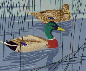 Alfred Joseph Casson: UNTITLED (MALLARDS)