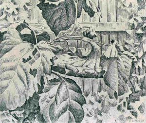 Ernest Lindner: SUNFLOWER