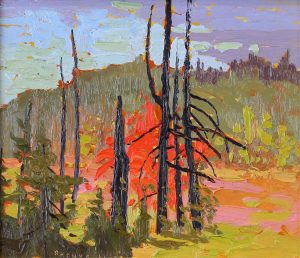 Arthur George Lloy: SWAMP MAPLE