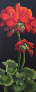 Page Ough: GERANIUM