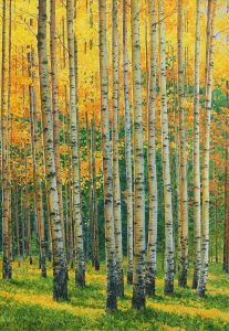 Keith Thomson: FALL, BRAGG CREEK