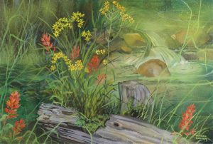 Annora Brown: WILDFLOWERS