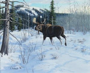 Elmer Schock: MOOSE