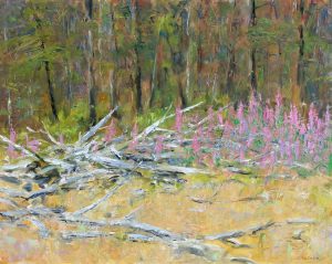 John Davenall Turner: DEADFALL & FIREWEED