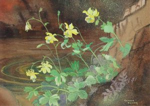 Annora Brown: YELLOW COLUMBINE