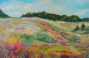 R. Fern Langemann: WATERTON MEADOWS, SUNSWEPT