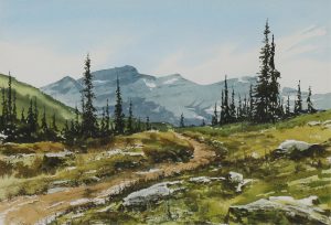 Simon H. Camping: SUMMER IN THE HIGH ALPINE