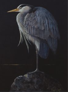 Page Ough: GREAT BLUE HERON