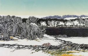 Walter Drohan: BEYOND THE WILLOWS