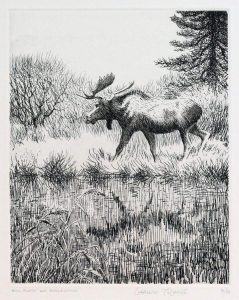 Clarence Tillenius: BULL MOOSE AND REFLECTION