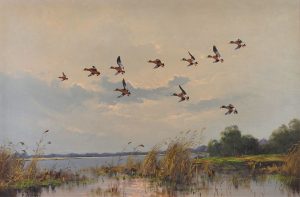 George Stevens: MALLARDS IN FLIGHT