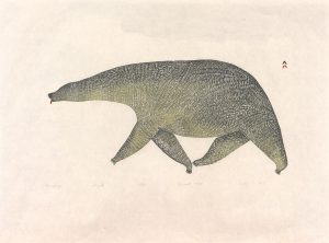Lucy Qinnuayuak: NANUPAUJA