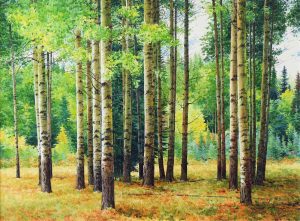 Keith Thomson: BRAGG CREEK GROUPING