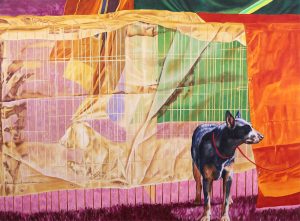 Alexandra (Sandy) Haeseker: ENCLOSURE: OUTBACK