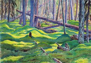 Ernest Lindner: FOREST FLOOR IN DAPPLED LIGHT