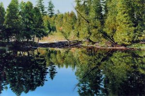Kenneth Edison Danby: POND REFLECTIONS